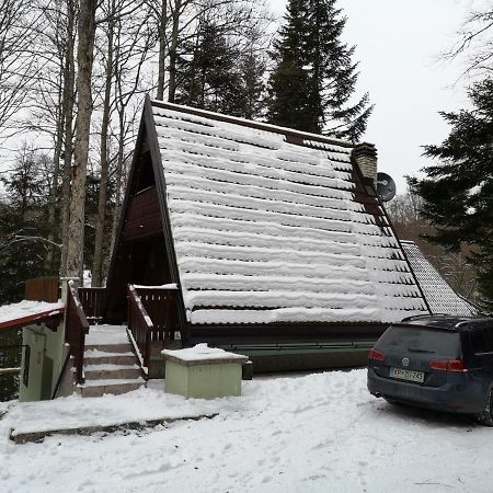 Villa Koca Planika, Sviscaki Ilirska Bistrica Exterior foto