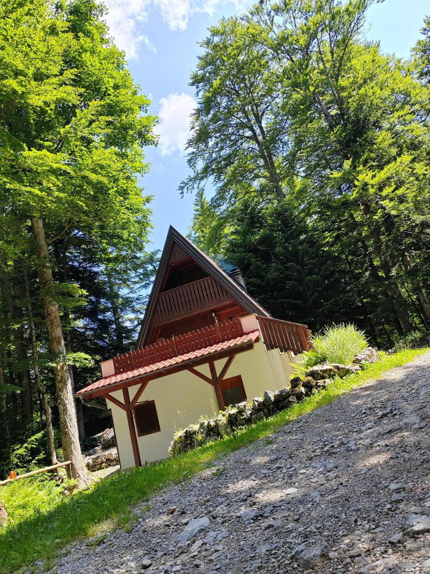 Villa Koca Planika, Sviscaki Ilirska Bistrica Exterior foto