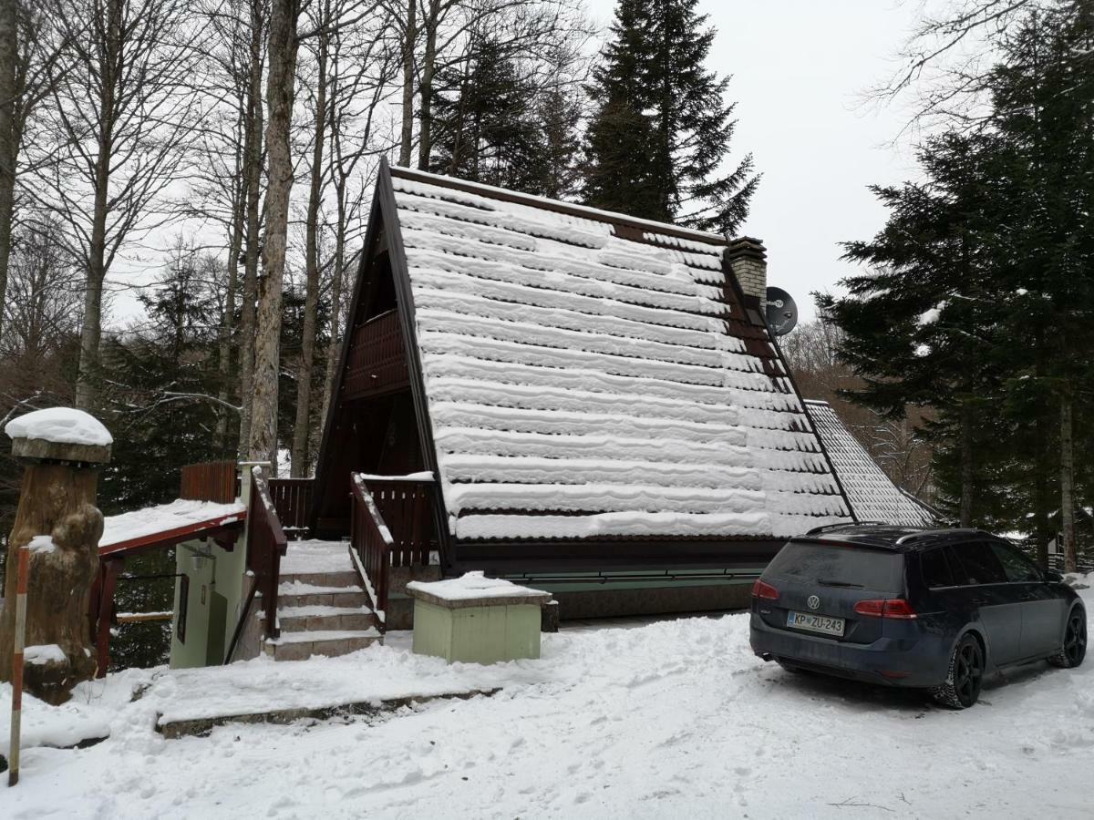 Villa Koca Planika, Sviscaki Ilirska Bistrica Exterior foto